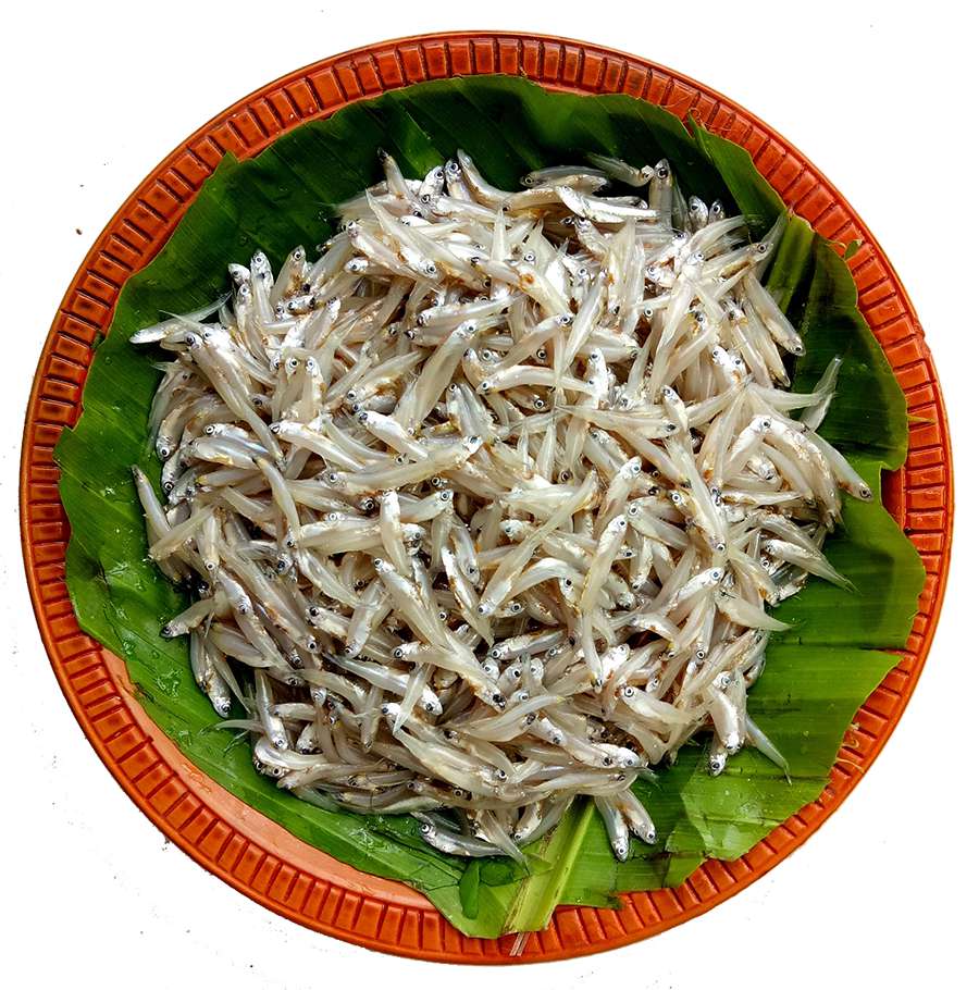 KASKI IPOH 1kg